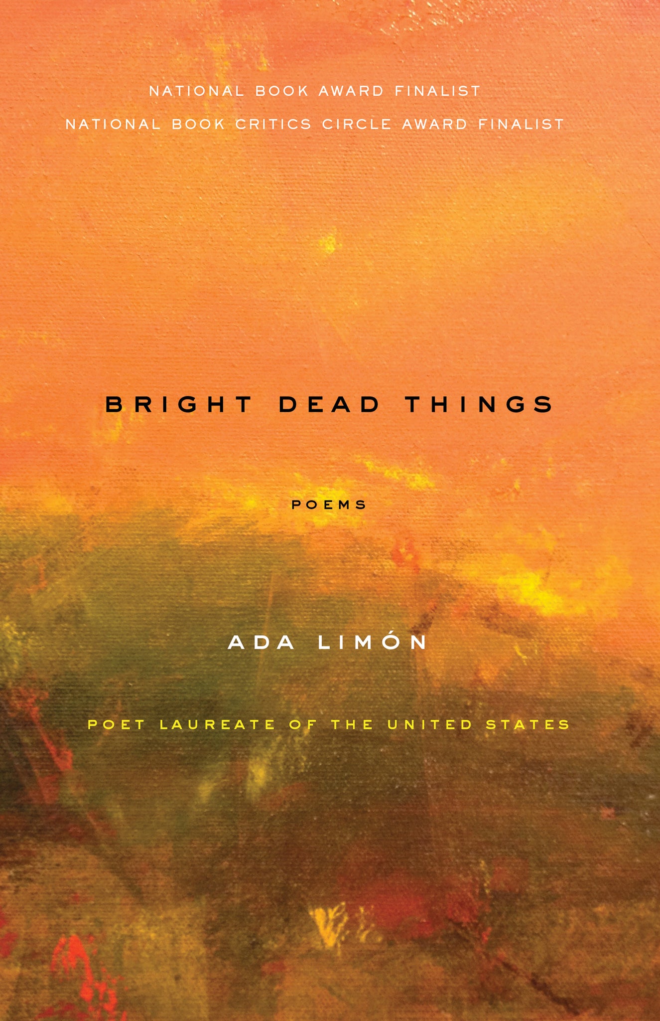 Cover image for Bright Dead Things ISBN 9781571314710